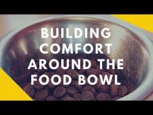 Embedded thumbnail for Building Comfort Around Your Dogs Food Bowl