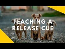 Embedded thumbnail for Teaching Your Dog a Release Cue