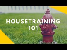 Embedded thumbnail for Housetraining 101