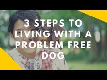 Embedded thumbnail for Three Steps For Living With a Problem Free Dog